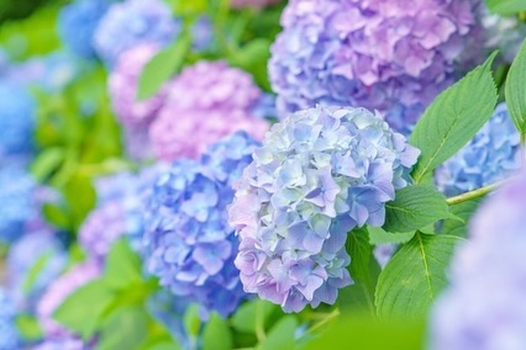 画像281