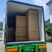 画像293