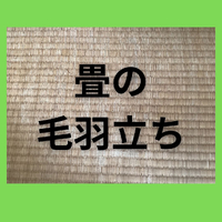 画像325