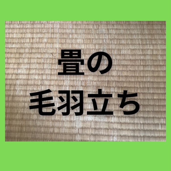 画像325
