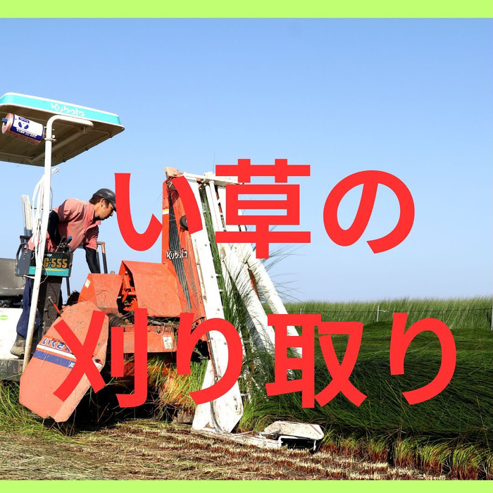 画像343