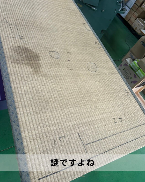 画像527