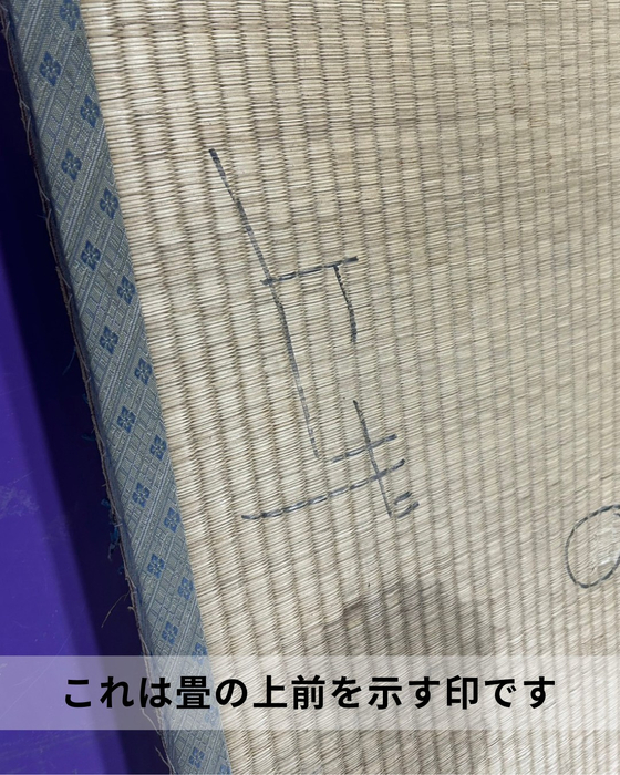 画像528