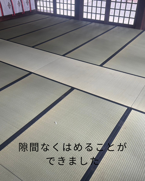 画像559