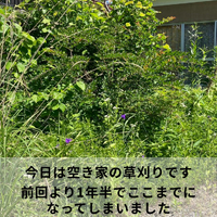 画像607