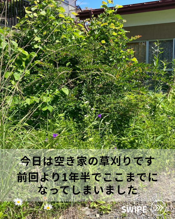 画像607