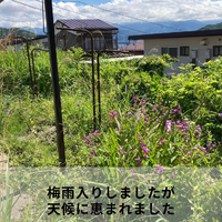 画像608