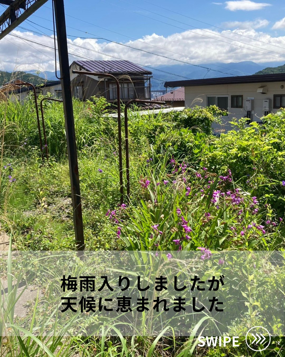 画像608