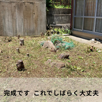 画像613