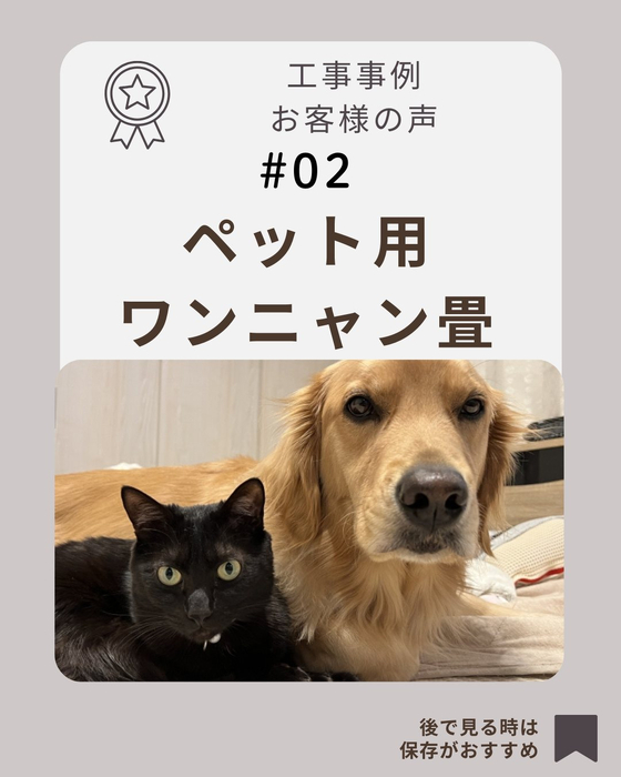 画像639