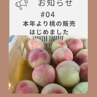 画像694