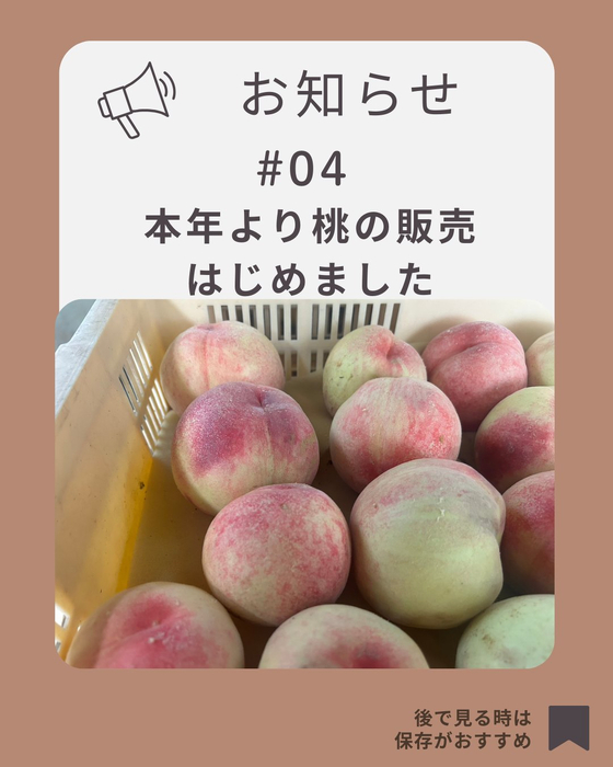 画像694