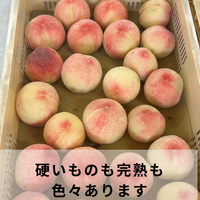 画像695