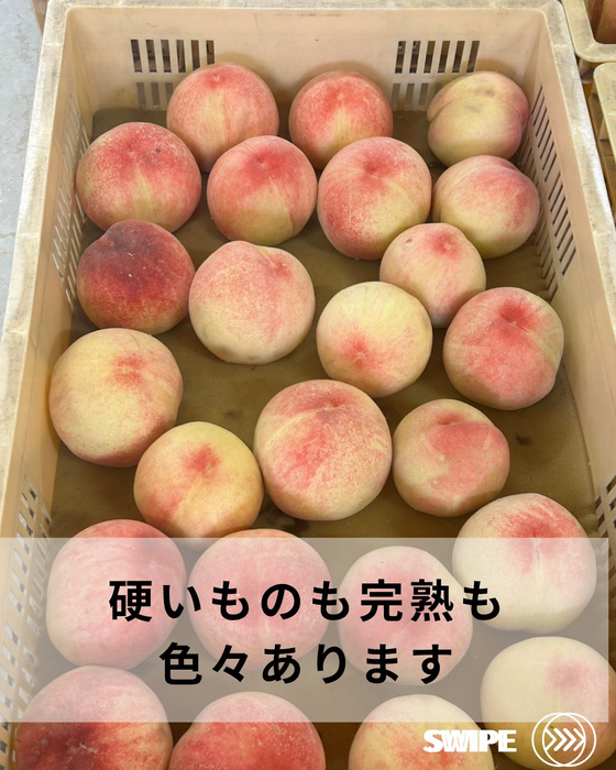 画像695