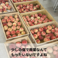 画像696