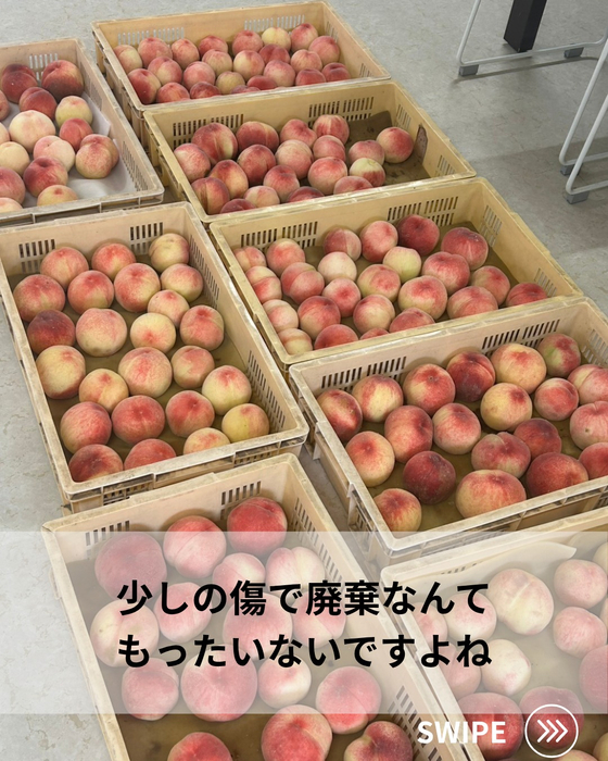 画像696