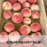 画像697