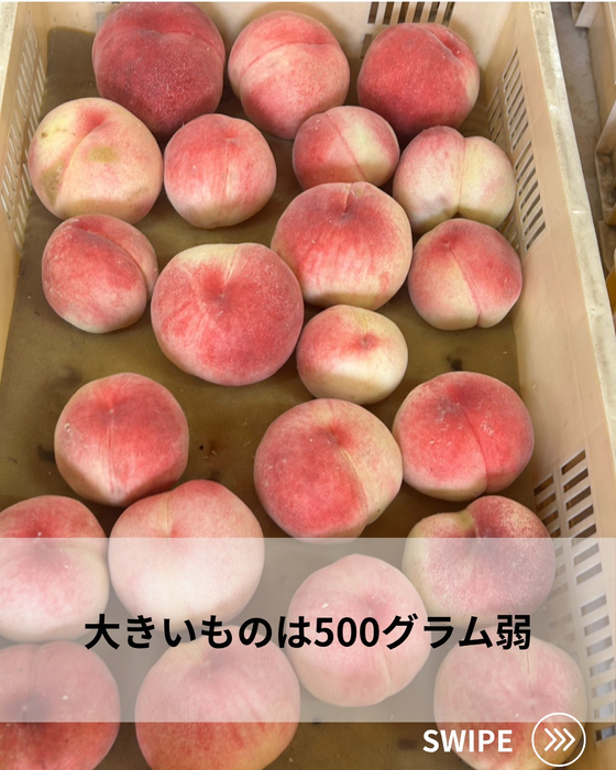 画像697