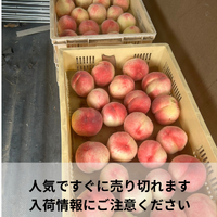 画像698