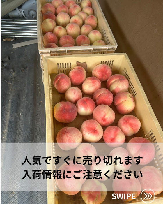 画像698