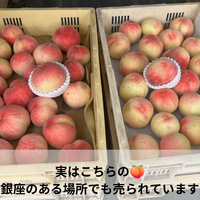 画像699