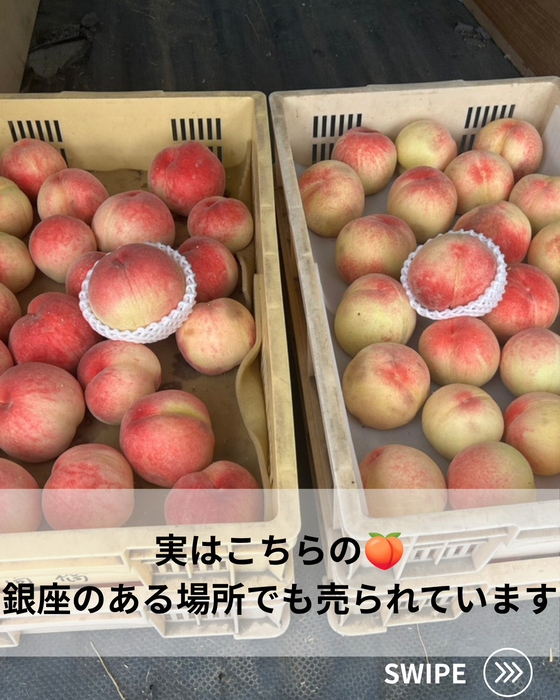 画像699