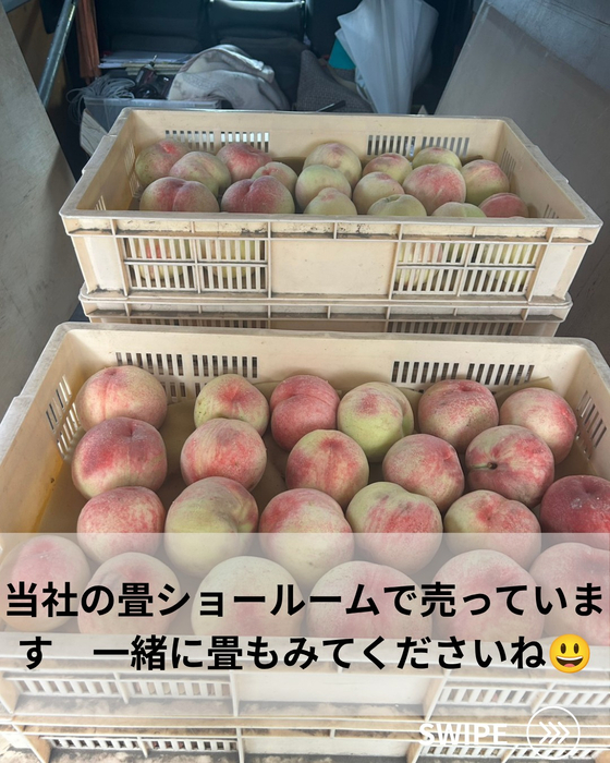 画像700