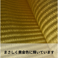 画像740