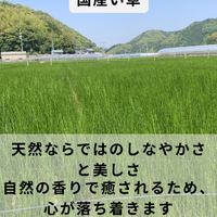 画像769