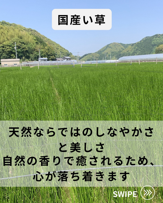 画像769