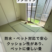 画像772