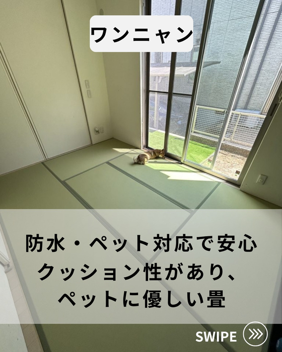 画像772