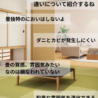 画像779