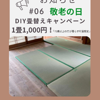 画像785