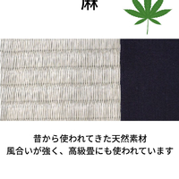 画像803