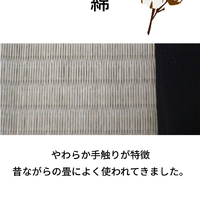 画像805