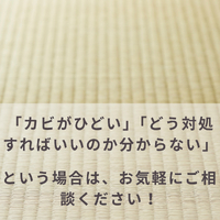 画像815
