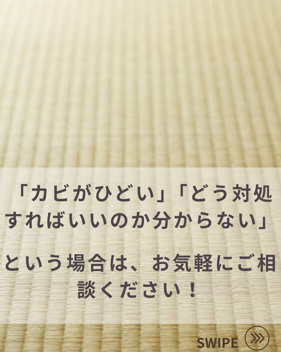 画像815