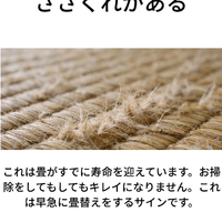画像819