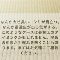 画像822