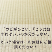 画像830