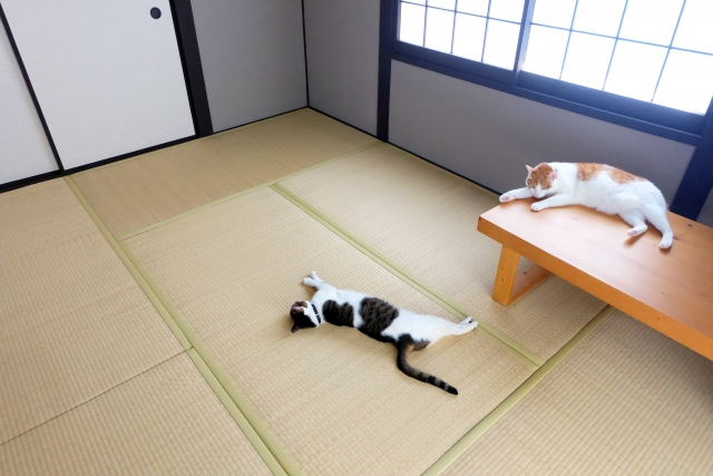 畳