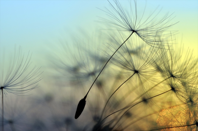 low_bg3