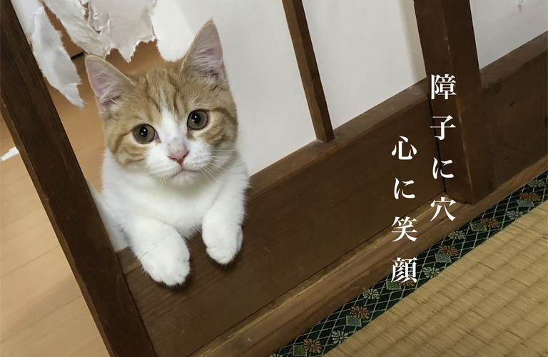 障子に穴　心に笑顔